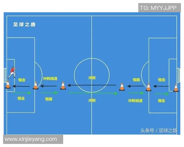 中国足球明星数据分析与发展趋势探讨及其对国内足球的影响